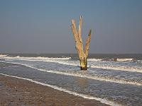 battery-technology-could-provide-fresh-water-from-salty-seas